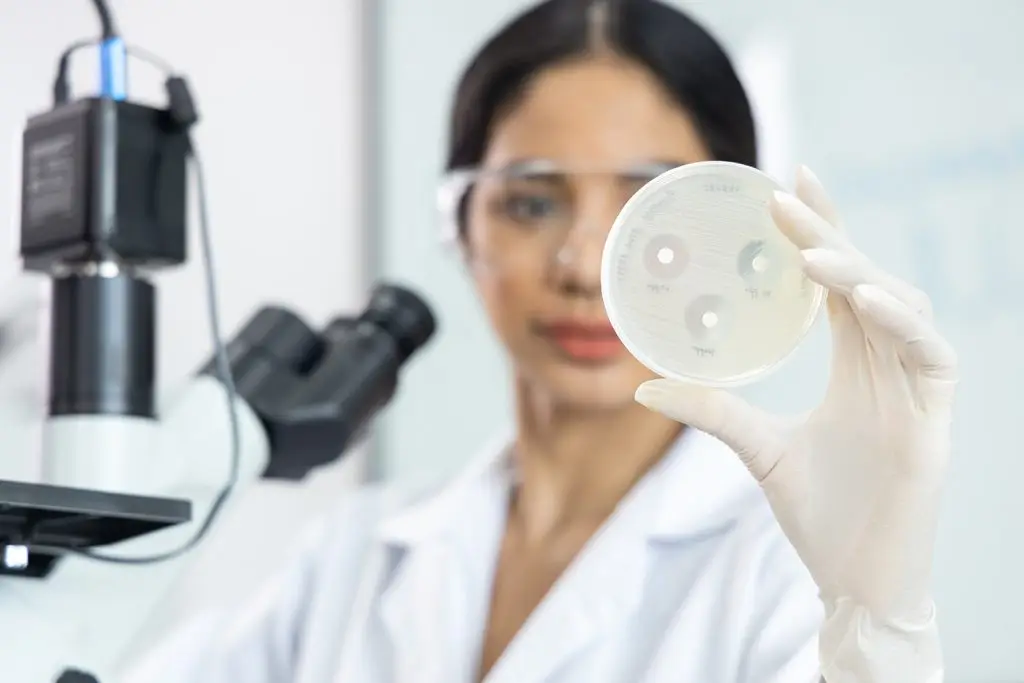 Bacteriologisch onderzoek