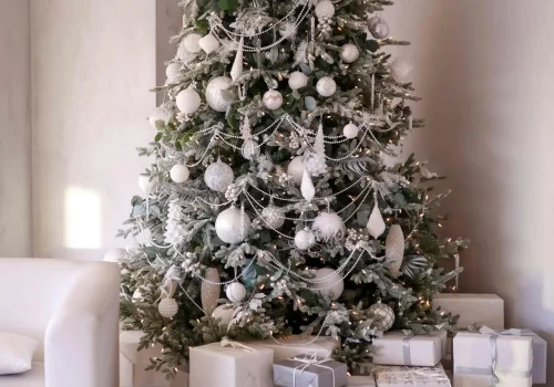 pexels-valeriya-34983027 (1)